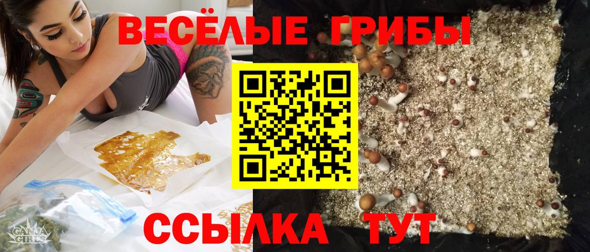 Галлюциногенные грибы мухоморы  Галлюциногенные грибы MAGIC MUSHROOMS  Рязань  Вход с VPN 